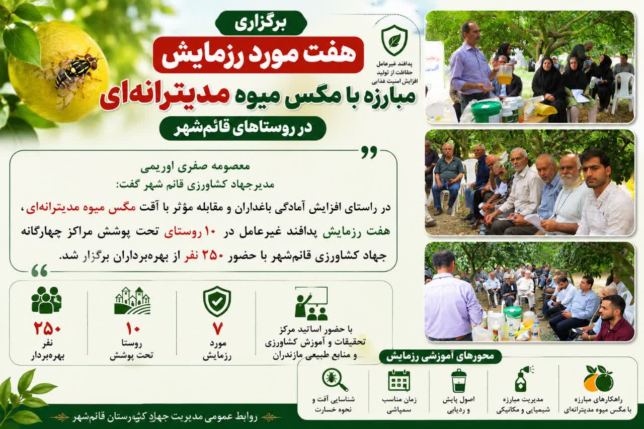 برگزاری هفت مورد رزمایش مبارزه با مگس میوه مدیترانه‌ای در روستاهای قائم‌شهر